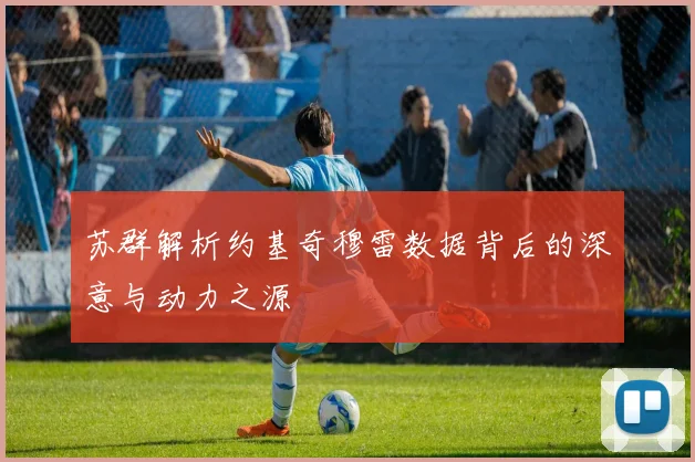 苏群解析约基奇穆雷数据背后的深意与动力之源