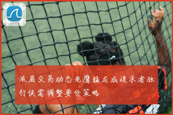 浓眉交易动态老鹰猛龙成追求者独行侠需调整要价策略