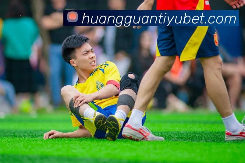 App Interface Preview